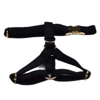 Personalized Black Velvet Classic Set