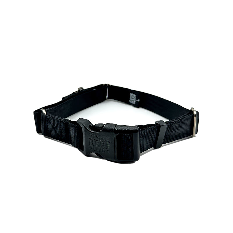 Martingale Dog Collar-Pet Collars & Harnesses-BIG FRENCHIES-Come Here Buddy