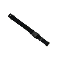 Martingale Dog Collar