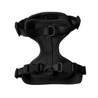 Harness