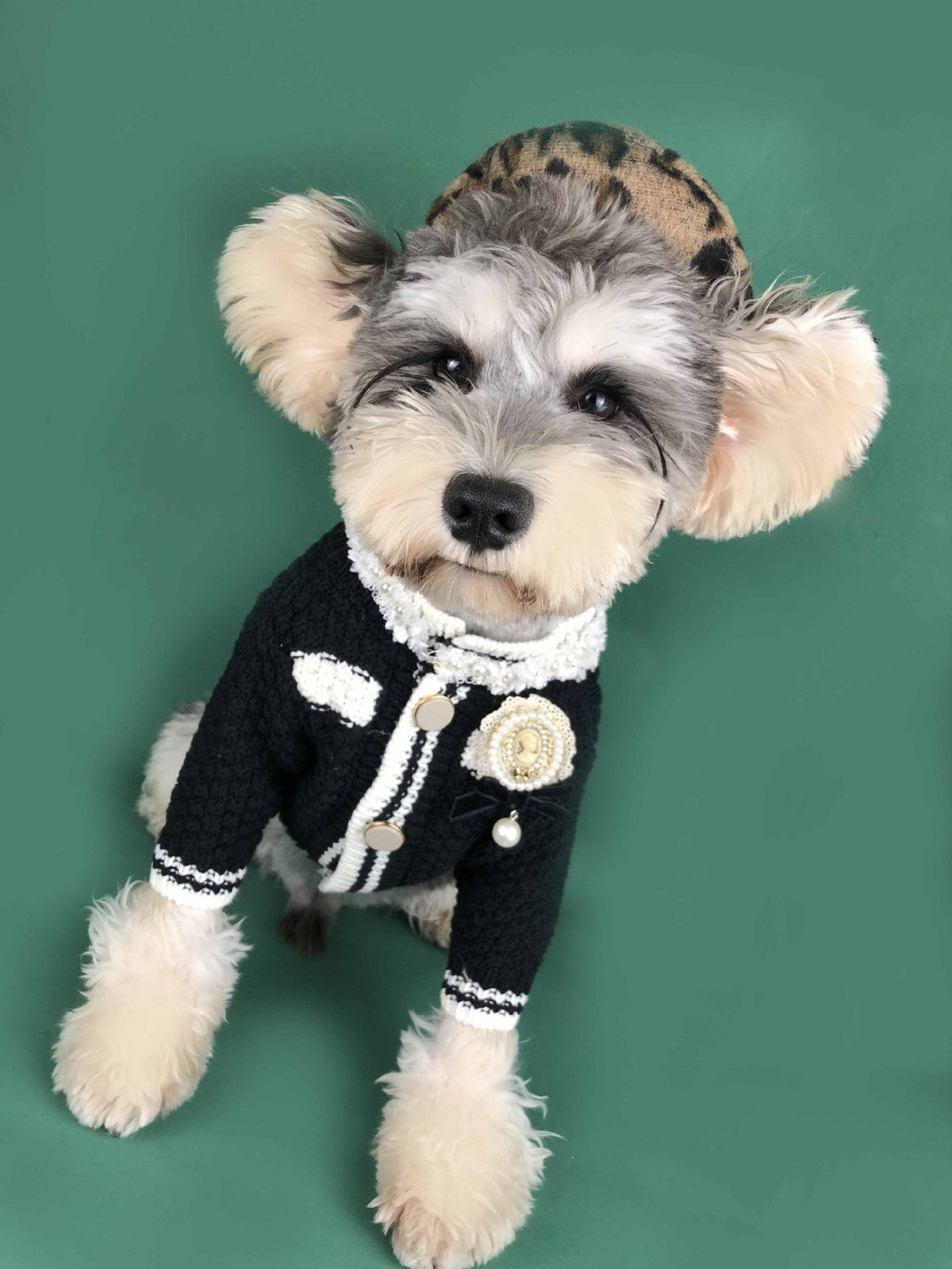 Pet sweater kint fashion cardigan-Pet Apparel-BIG FRENCHIES-Jane's Pet Boutique