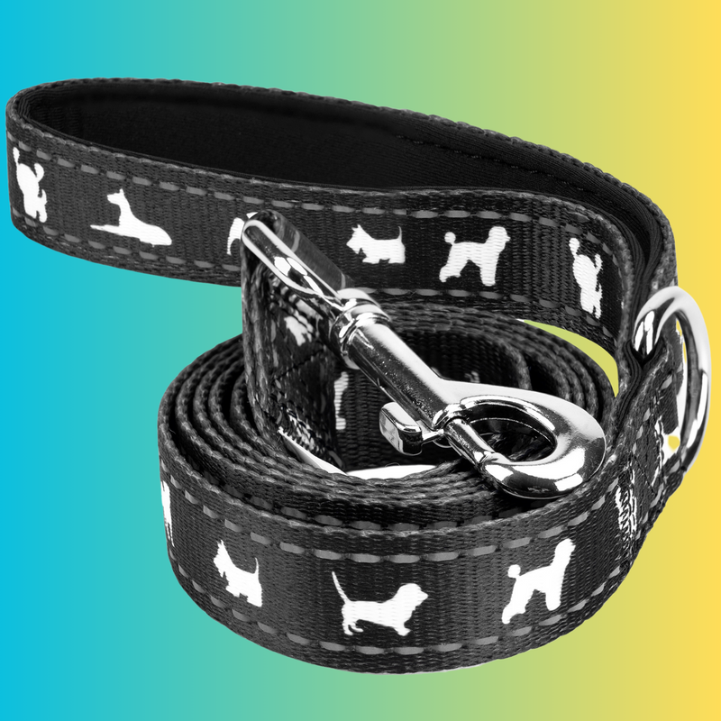 Black Dog Leash by EcoBark - Comfort Grip Padded Leash - 5ft for Small and Medium Dogs - BIG FRENCHIES