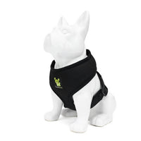 EcoBark Black Dog Harness - Over-the-Head Dog Vest Halter Dog for Small to Medium Dogs and Puppies - BIG FRENCHIES