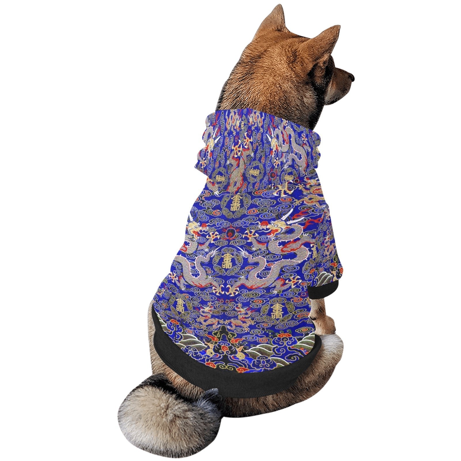 Blue Imperial Dragon Button Hoodie