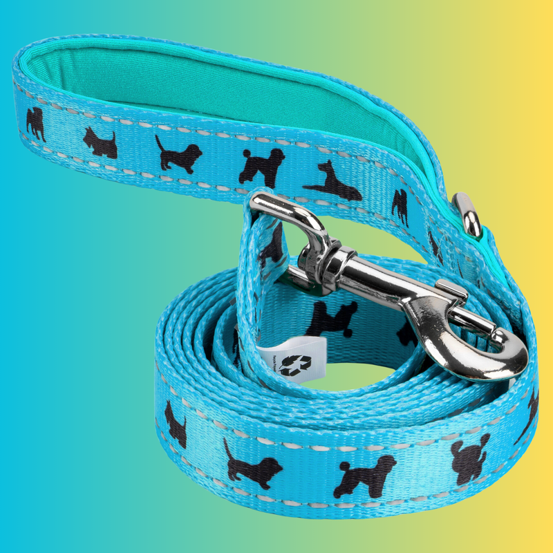 EcoBark Sky Blue Dog Leash- Padded Comfort Grip Padded Leash Dog Pattern - 4 Foot, 5 Foot, 6 Foot Leash for Small and Medium Dogs - BIG FRENCHIES