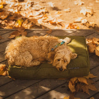 Body Glove Paintflower Pet Napper Dog Bed