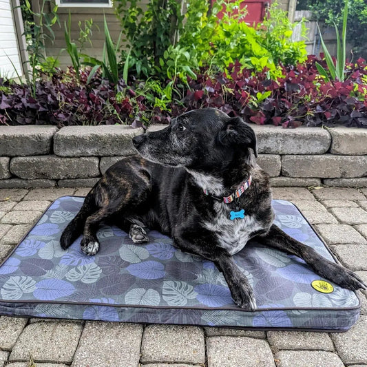 Body Glove Sand & Sun Tough Mat