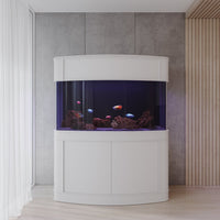 Glass Bowfront