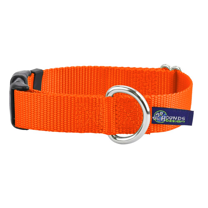 5/8″ and 1″ Neon Orange Nylon Dog Collar-Pet Collars & Leashes-BIG FRENCHIES-2 Hounds Design