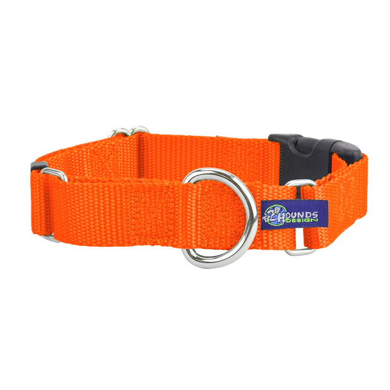 5/8″ and 1″ Neon Orange Nylon Buckle Martingale Dog Collar-Pet Collars & Leashes-BIG FRENCHIES-2 Hounds Design