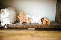 Bunny Push Toy - BIG FRENCHIES