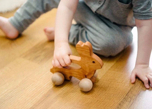 Bunny Push Toy - BIG FRENCHIES