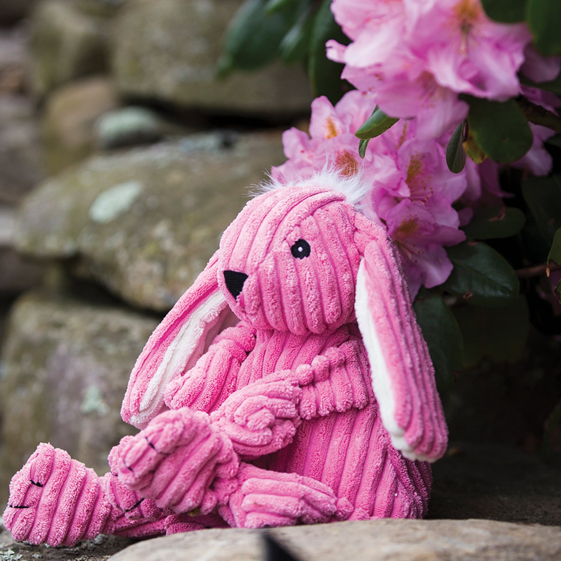 Bitsy Bunny Knottie® Plush Dog Toy - BIG FRENCHIES