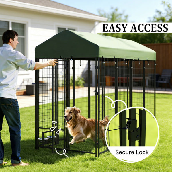 Dog House