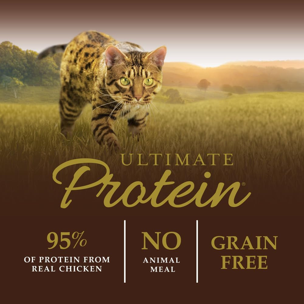 Natural Dry Cat Food, 10 Lb. Bag - BIG FRENCHIES