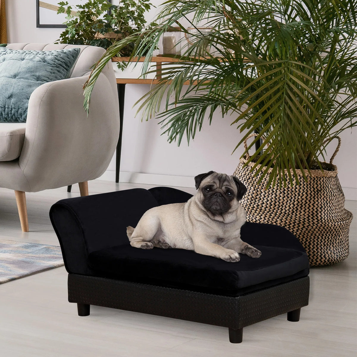 Luxury Dog Bed For Small Dogs, Hidden Storage, 3 In Foam Cushion, Modern Pet Sofa, Black