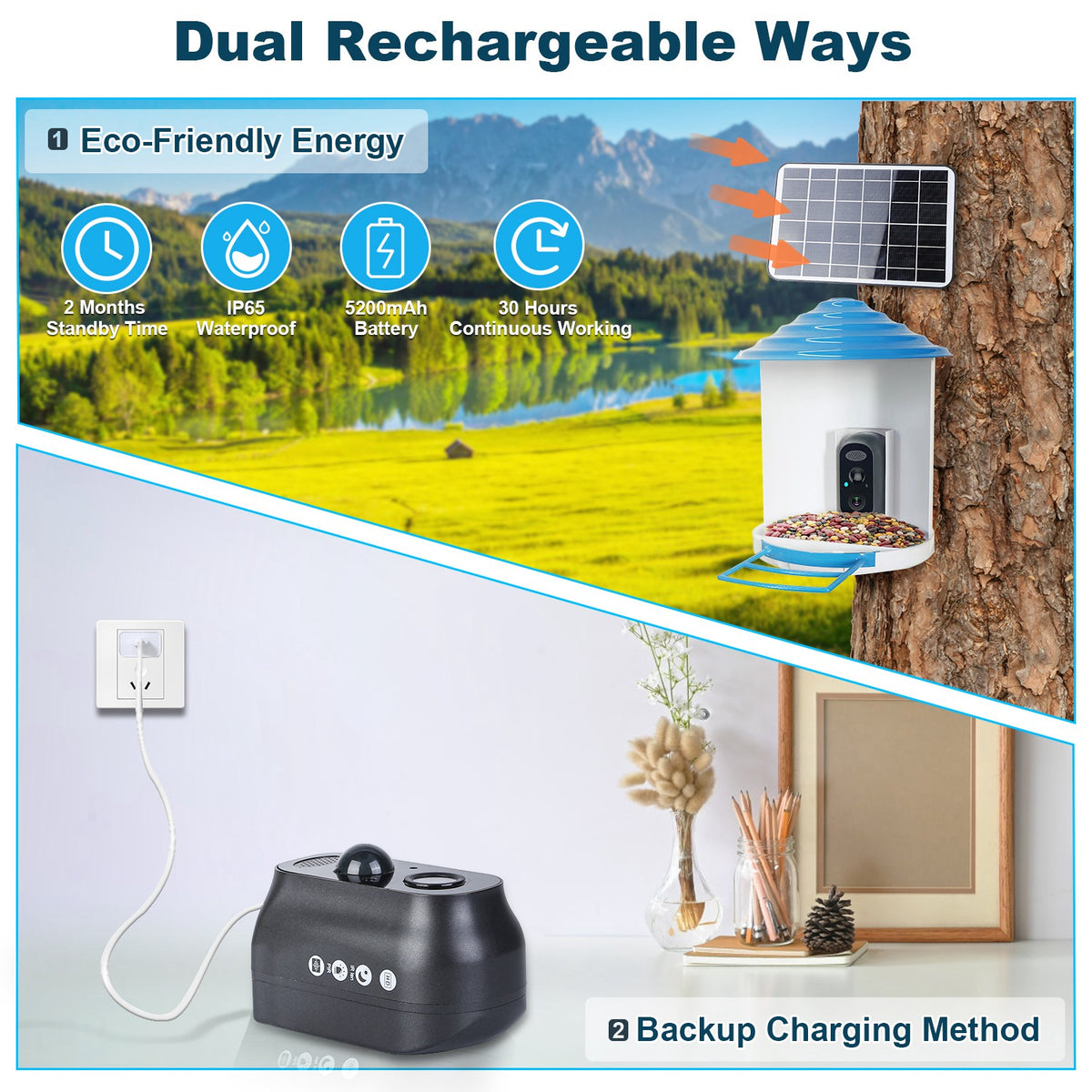 Smart Bird Feeder With Solar Powered Camera 1080P HD AI Identify PIR Motion Auto Capture Video Cloud Card Storage WiFi C