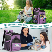 Dog and cats Backpack Carrier - BIG FRENCHIES