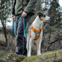 Journey Air Dog Harness, Vest Harnesses for Dogs, Pet Hiking Harness for Running & Walking, Reflective, Padded, Includes Control Handle, No Pull Front Clip (Orange, Small)