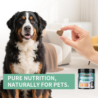Only Self Pickup---Probiotics For Dogs