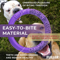 Dog Ring Fetch Toy Large Dogs Maxi Size 1 Pc Purple
