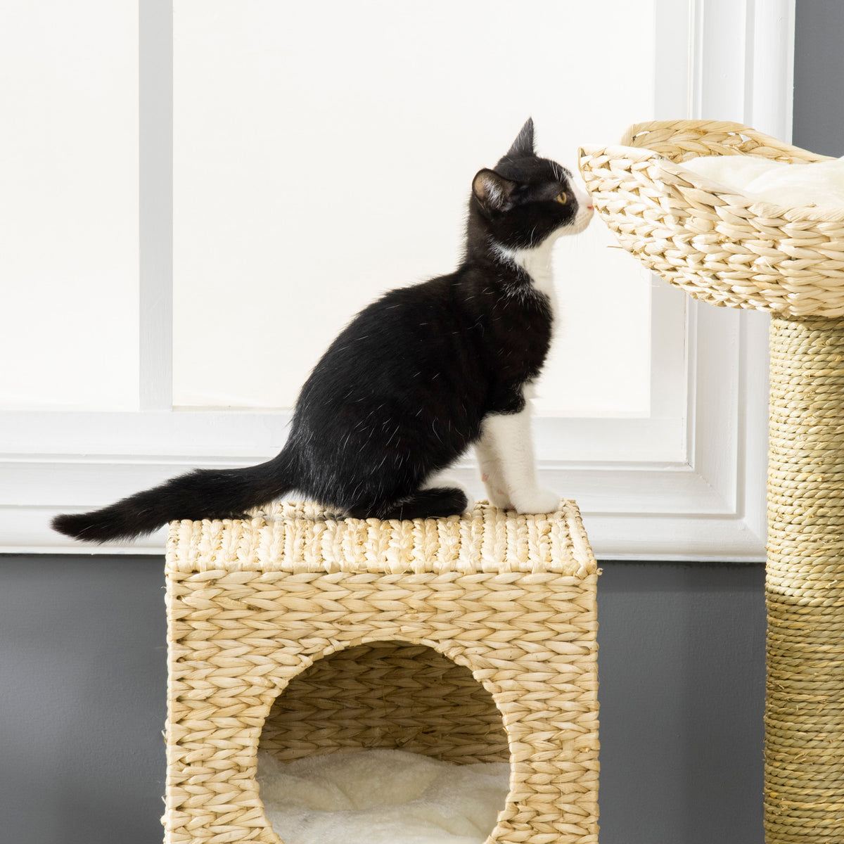 Cattail Weave Cat Tree for Indoor Cats Kitty Tower with Rattan Cat Condo, Wicker Bed, Ladder, Washable Cushions, 22.5" x