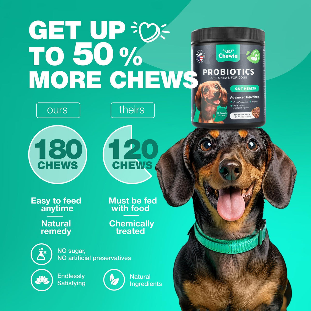 Probiotics for Dogs Digestive Enzymes Gut Health Pumpkin & Yeast Powder