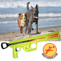 K9 Kannon Dog Tennis Ball Launcher - BIG FRENCHIES