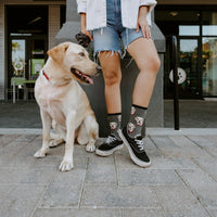 Labrador