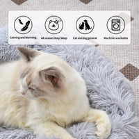 Cat Bed for Indoor Cats and small dogs - BIG FRENCHIES