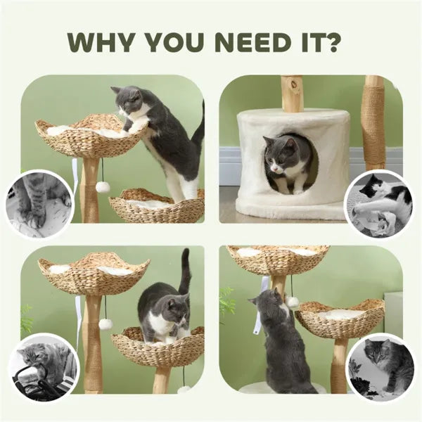 Cat Tree