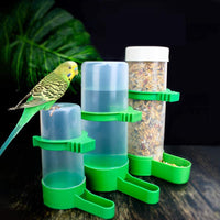 Automatic Bird Feeder & Water Dispenser - BIG FRENCHIES