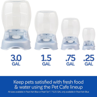 At And Dog Water Dispenser Extra Small Water Bowl For Kittens And Puppies, USA Made
