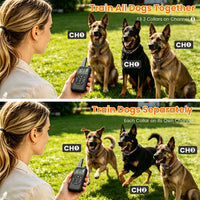 Dog Training Collar with Remote Rechargeable Dog Training Collar IP68 Waterproof with 4 Training Modes 3 Channels for Me