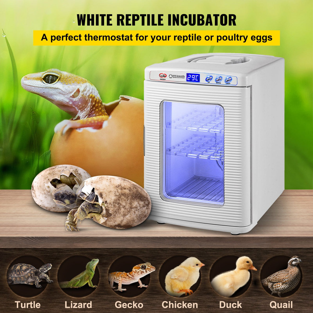 White Reptile Incubator 25L Scientific Lab Incubator Digital Incubator Cooling And Heating 5-42°C Reptile Egg Incubator 