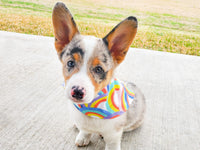 "Solid Color" Dog Bandana