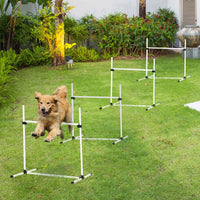 Dog agility training equipment