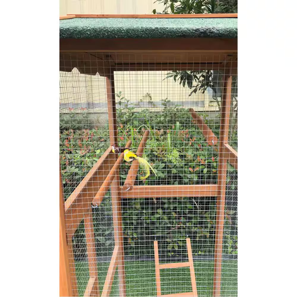 Outdoor Wooden Bird Cage - BIG FRENCHIES