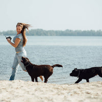 2 In 1 Wireless Electric Dog Fence Waterproof Pet Shock Boundary Containment System Electric Training Collar With 2 Rece