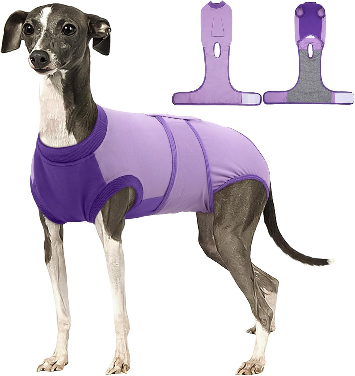 Female Dog Recovery Suit After Spay, XS–2XL