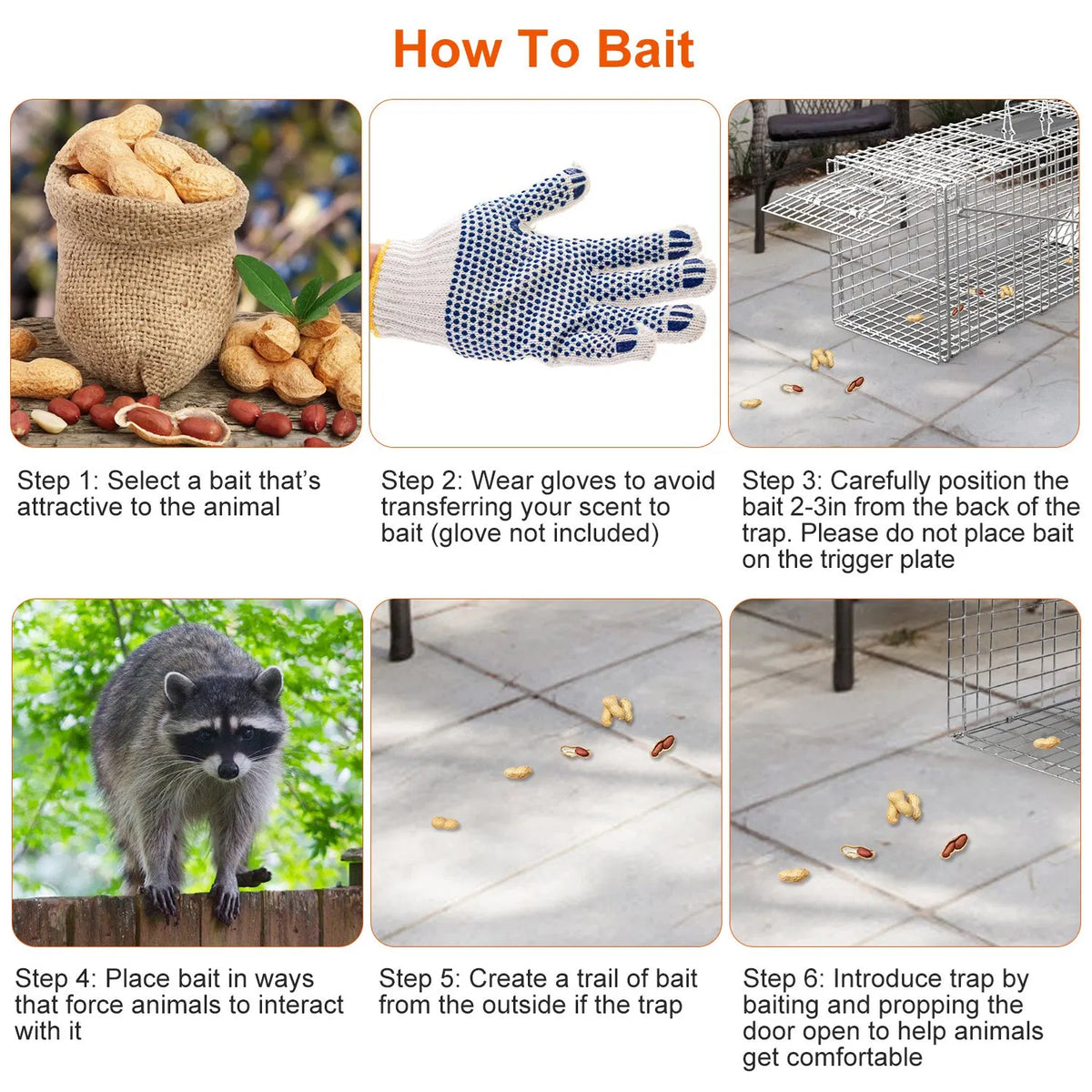 Humane Animal Trap Cage (30.51x11.02x11.81in) - Galvanized Sturdy Wire Mesh, Sensitive Trigger & Dual Doors, Handle Guar