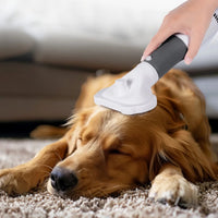 Pet Grooming Dryer for Small Dog and Cat - BIG FRENCHIES