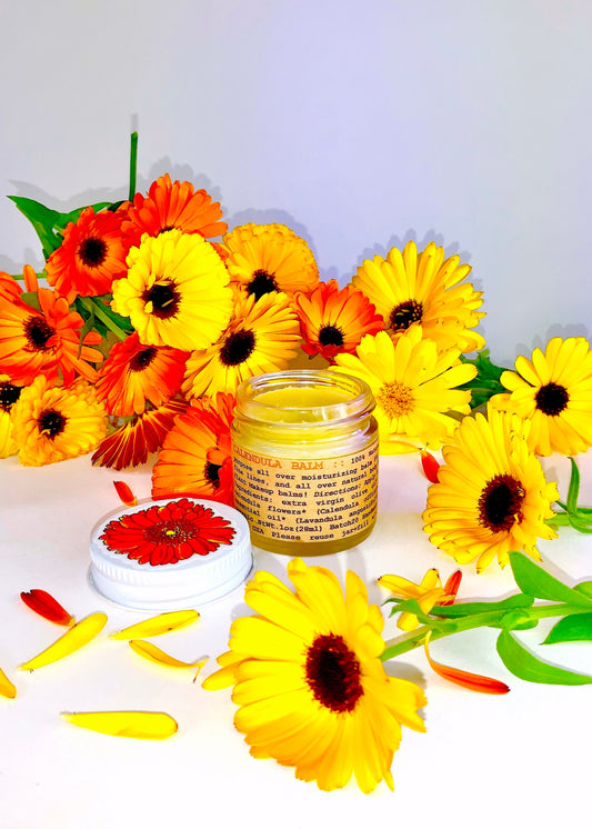 Calendula Balm - BIG FRENCHIES