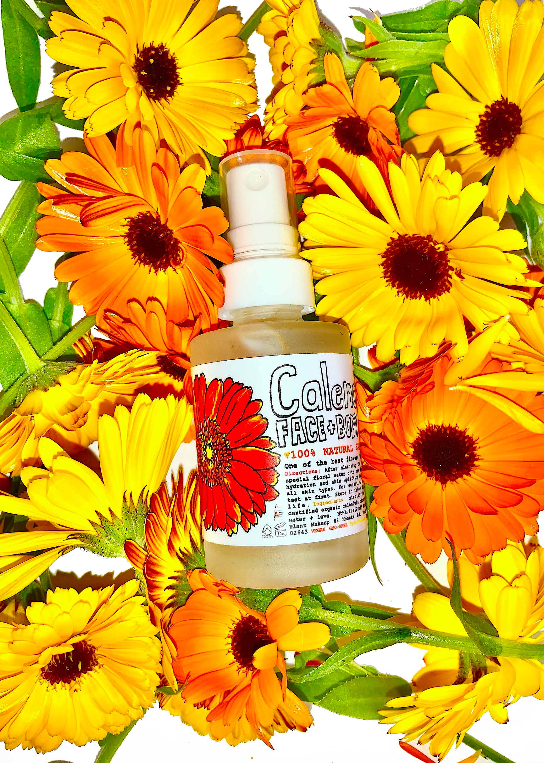 Calendula Face + Body Mist - BIG FRENCHIES
