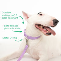 Original Waterproof Dog Collar - BIG FRENCHIES