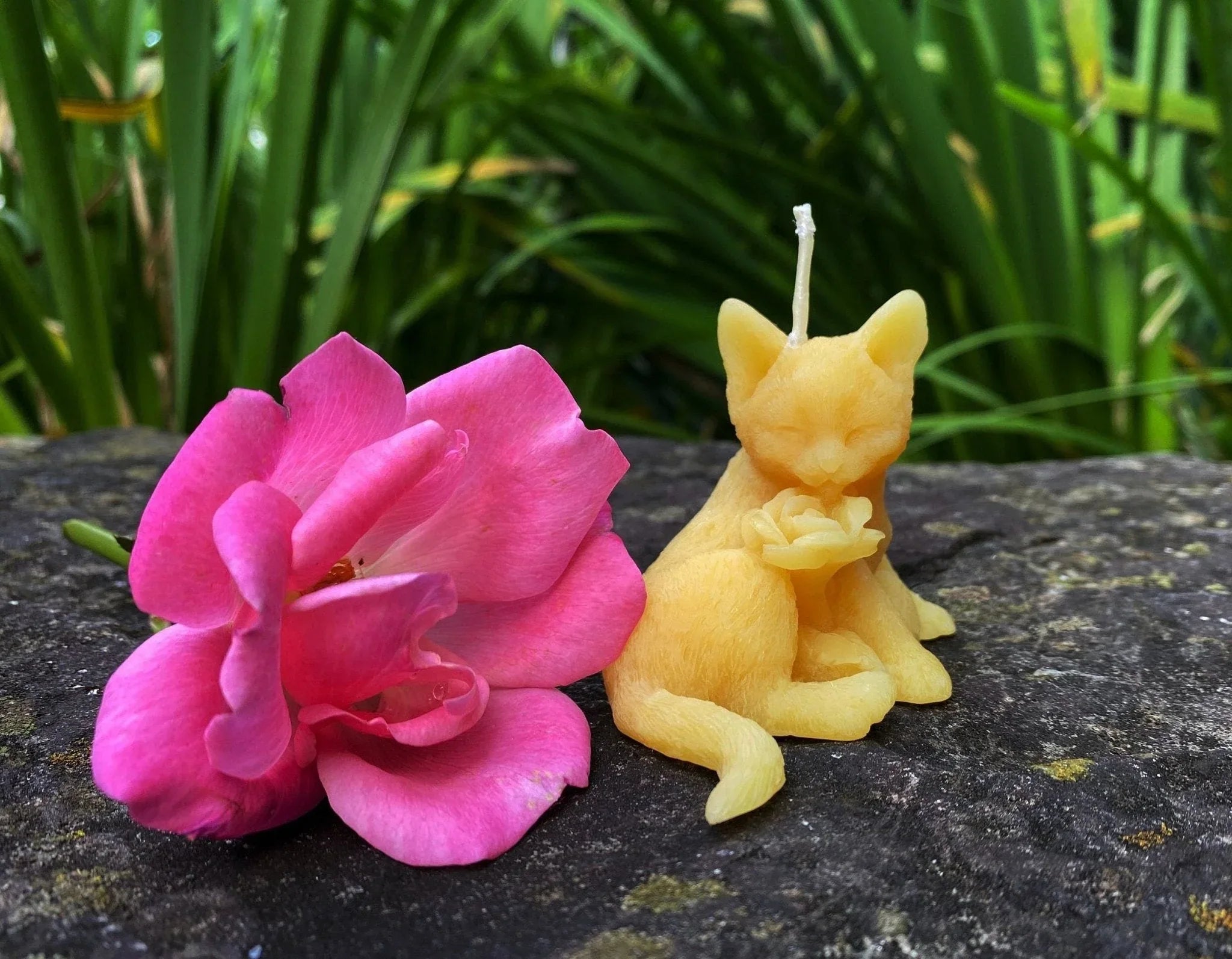 Kitty & Rose Beeswax Candle - BIG FRENCHIES