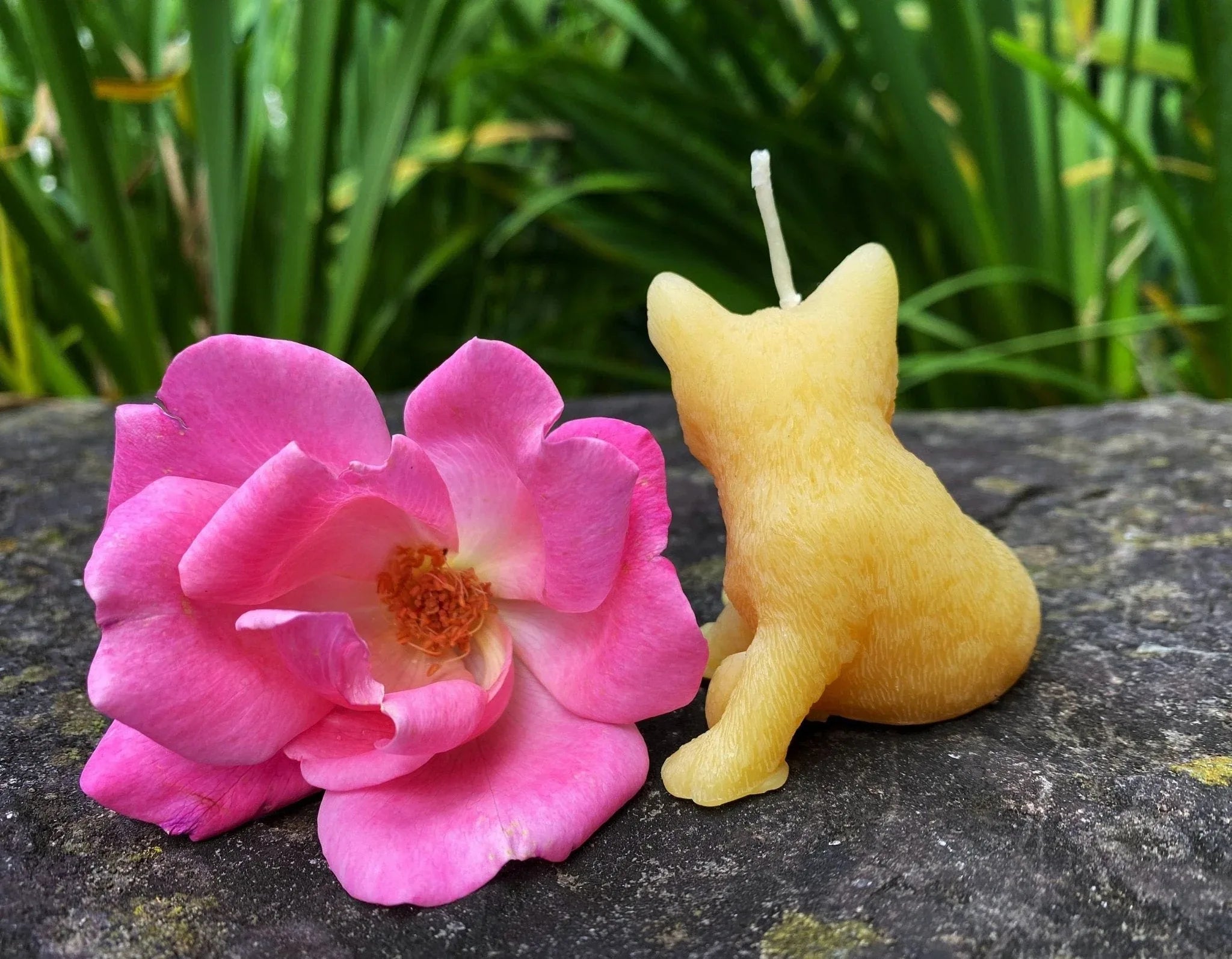 Kitty & Rose Beeswax Candle - BIG FRENCHIES