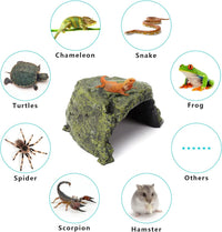 Reptile Rock Hide Cave Natural Resin Habitat for Lizards Turtles Fish