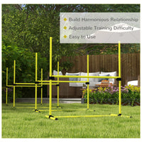 Dog agility training equipment