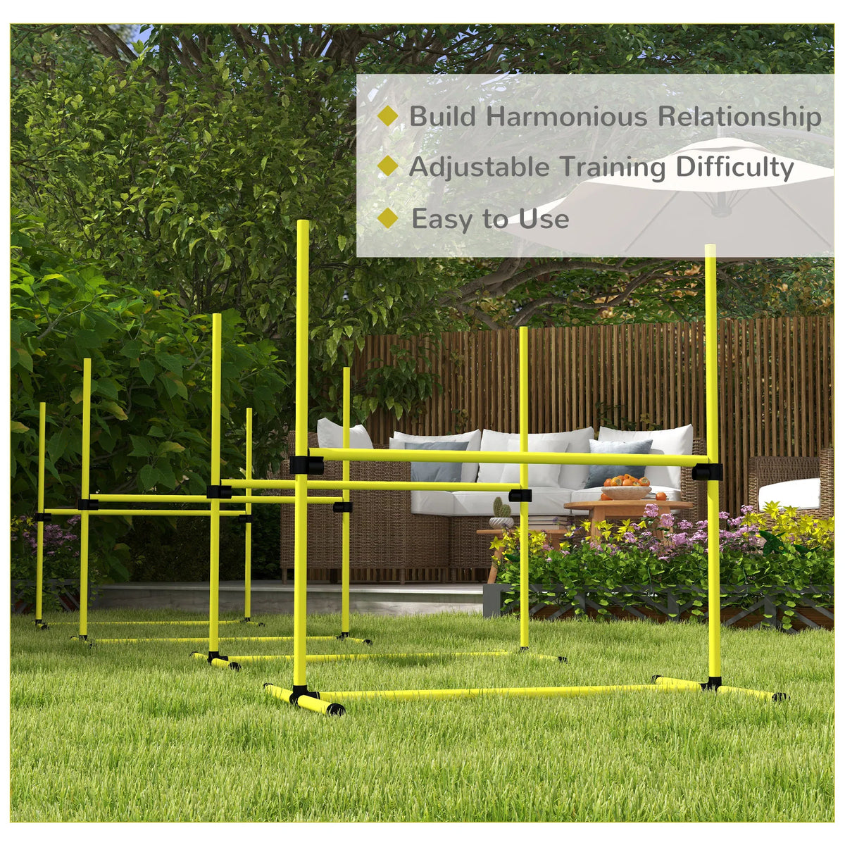 Dog agility training equipment